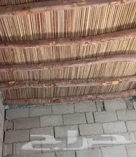 هذي شغل الجريد ولا عريش شغل طيب ويوجد لدينا نخل ممتاز في أنح 5
