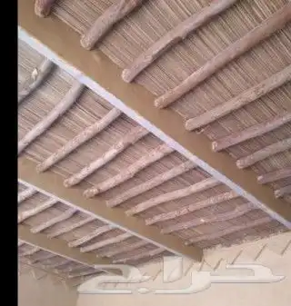 هذي شغل الجريد ولا عريش شغل طيب ويوجد لدينا نخل ممتاز في أنح 6
