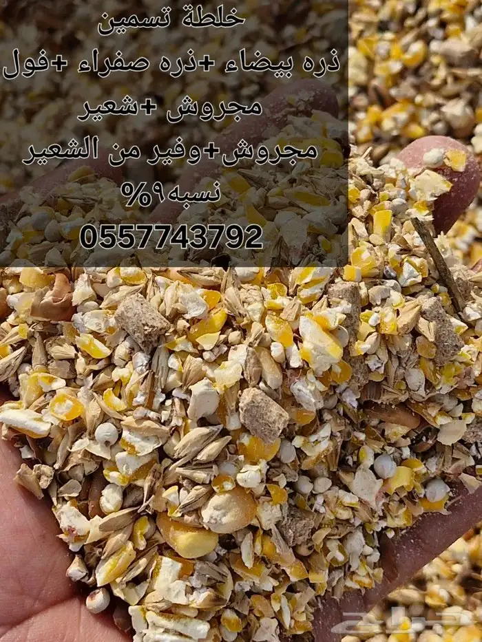 اعلاف ولوازم الطيور والاغنام 1