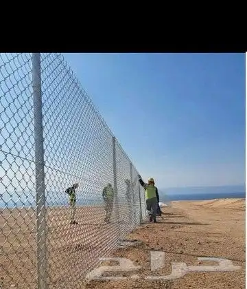 ودلدينا نخيل للبيع 2