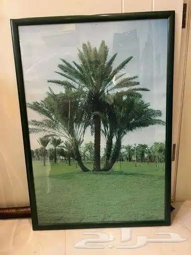 لوحة جدارية صور قديمة عاصمة الرياض 1