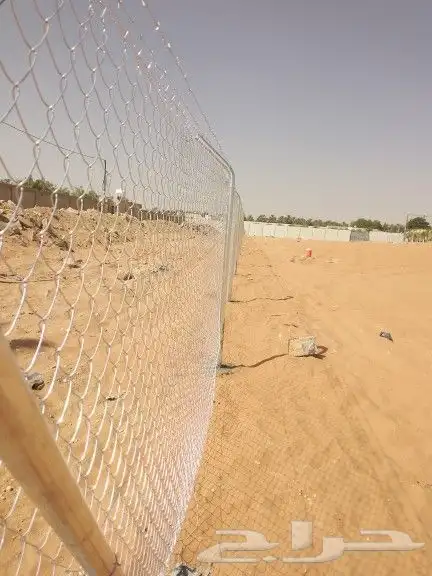 ودلدينا نخيل للبيع 9