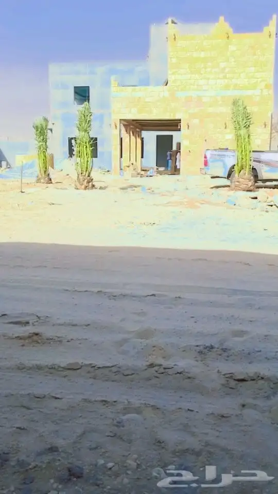 ودلدينا نخيل للبيع 5