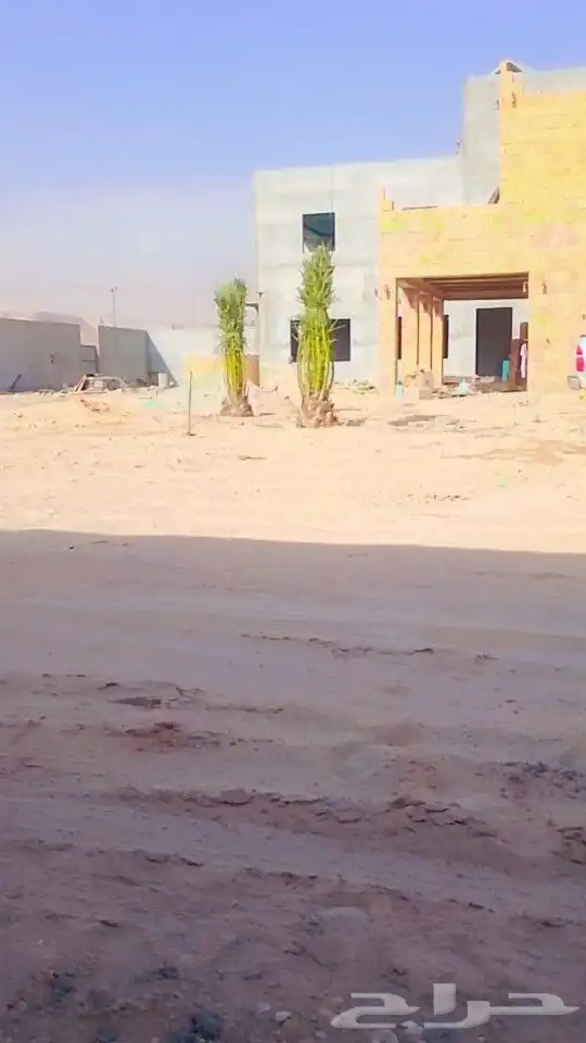 ودلدينا نخيل للبيع 4