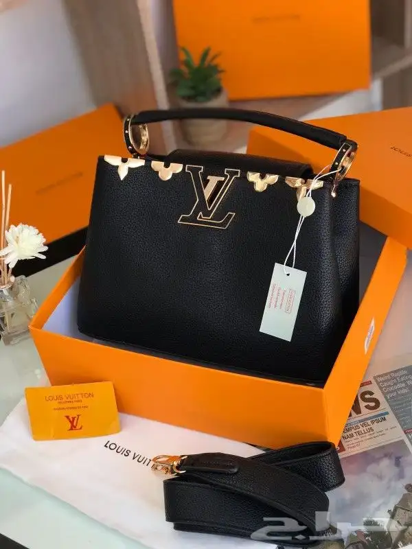 شنط ماركة لويس فيتون مره فخمات 3