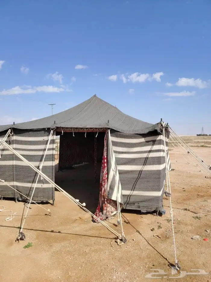 بيت شعر مستخدم مقاس 6في11 2