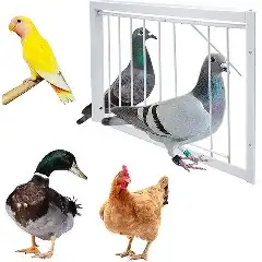 مصيدة حمام احترافية باب مصيدة 1