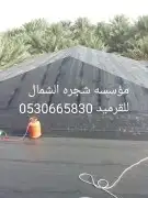 مؤسسه شجرة الشمال للقرميد الفخاري 3