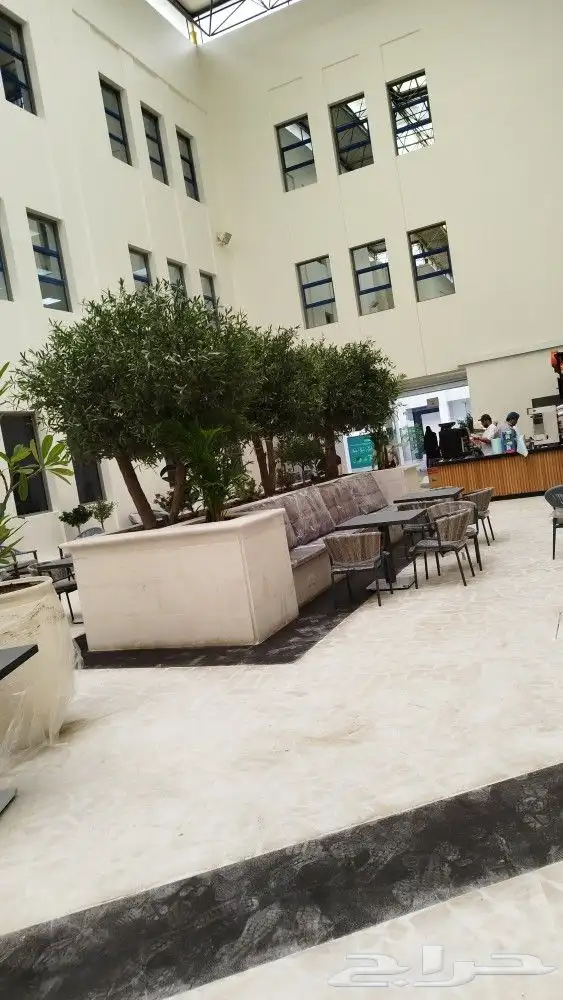 زيتون صناعي 8