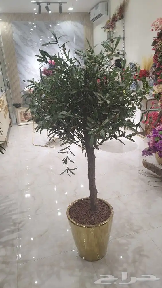 زيتون صناعي 5