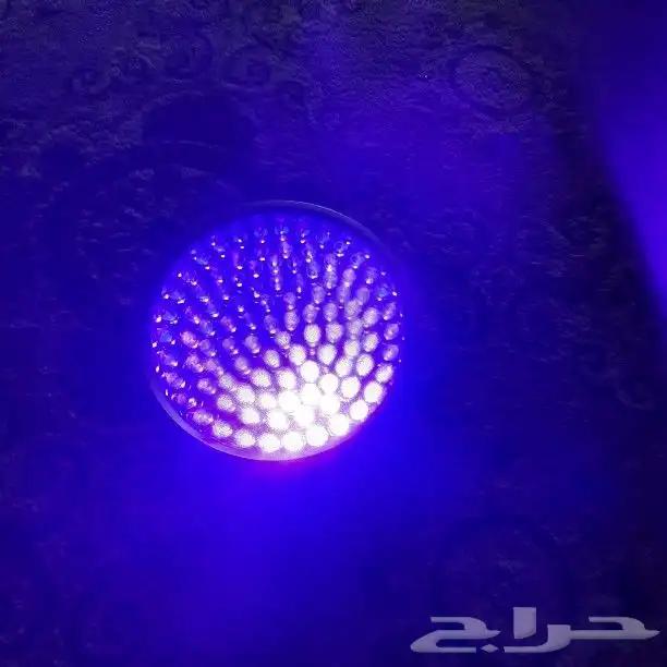 كاشف عن العقارب ولحشرات اضارة لم يستخدم جديد 1