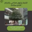 زيتون صناعي 9