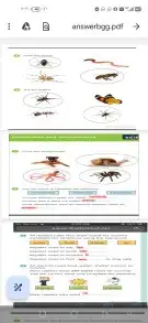 استب اختبار استب لغه انجليزيه 2