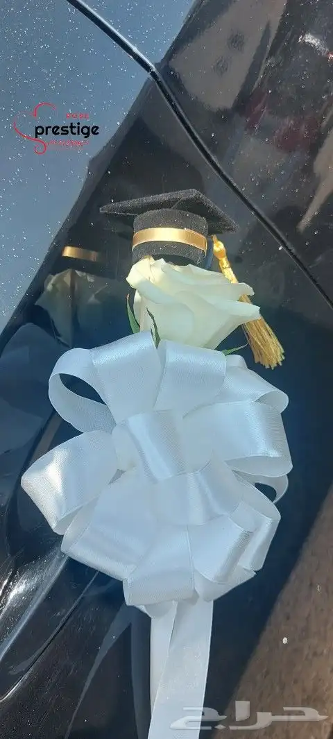 تشريع سيارات عرسان 11