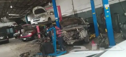شفرلية ترافيس 1
