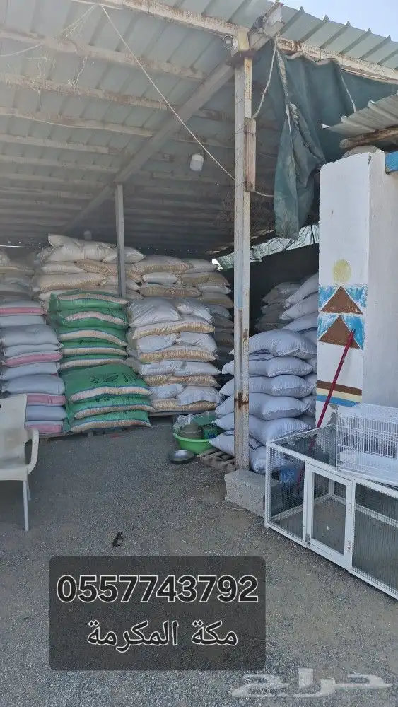 اعلاف الطيور والاغنام ولوازمها أعلاف 4