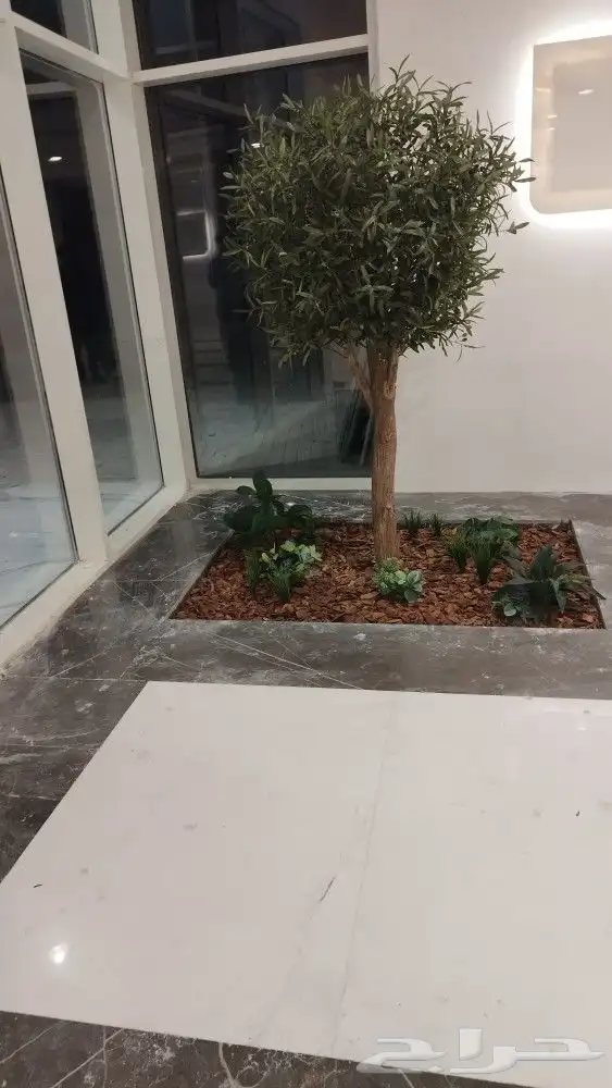 زيتون صناعي 7