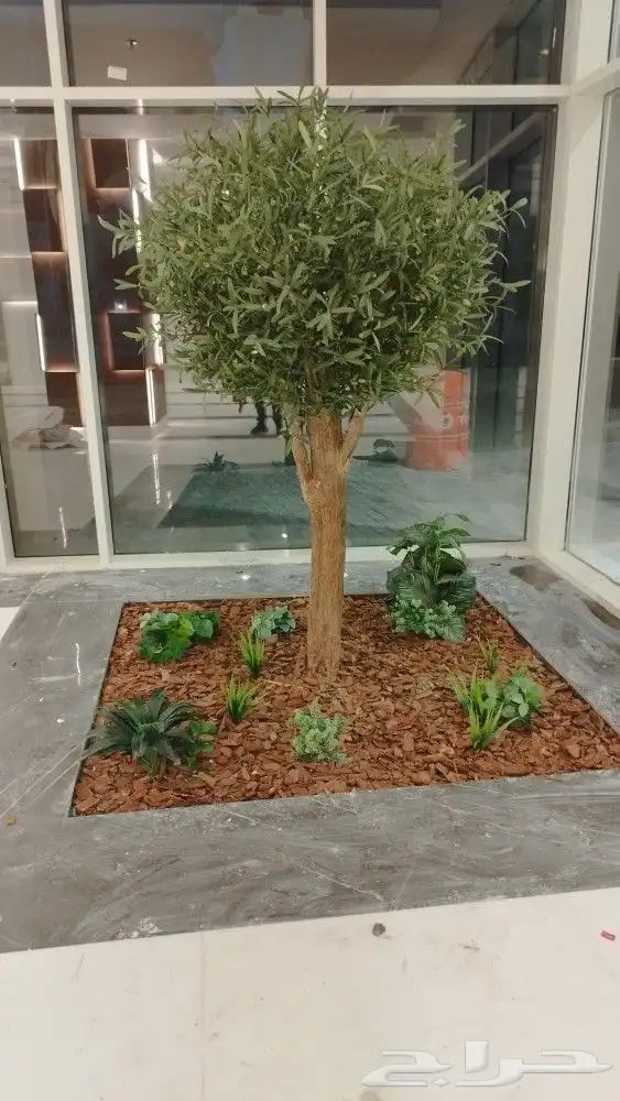 زيتون صناعي 4