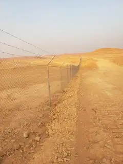 توريد نخيل وتركيب شبوك 5