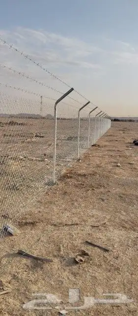 شبوك مزارع الرياض الجله تبراك القرنه شقراء 2