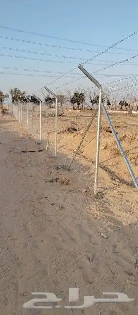 شبوك مزارع الرياض الجله تبراك القرنه شقراء 1