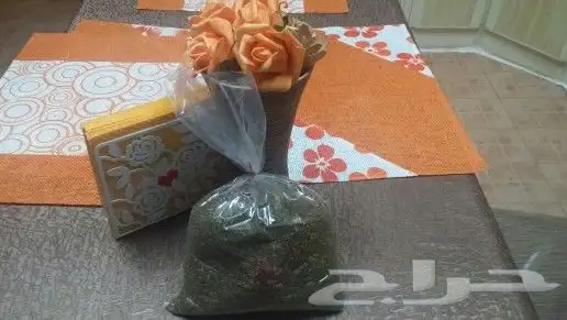 زيت زيتون فلسطيني معصور على البارد وجديد الموسم لكل المدن 5