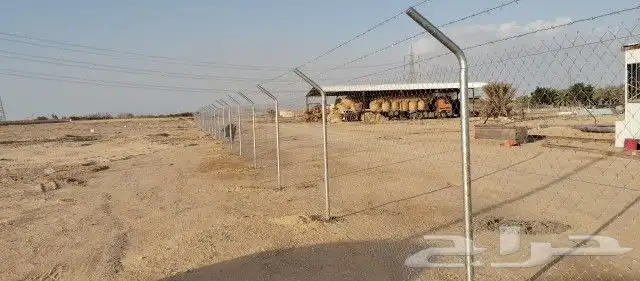 شبوك مزارع الرياض الجله تبراك القرنه شقراء 0