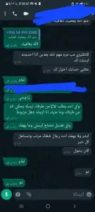 تصميم سيرة ذاتية احترافية CV 7