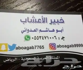 الدسك الشلل الجزئي الغيبوبة 6