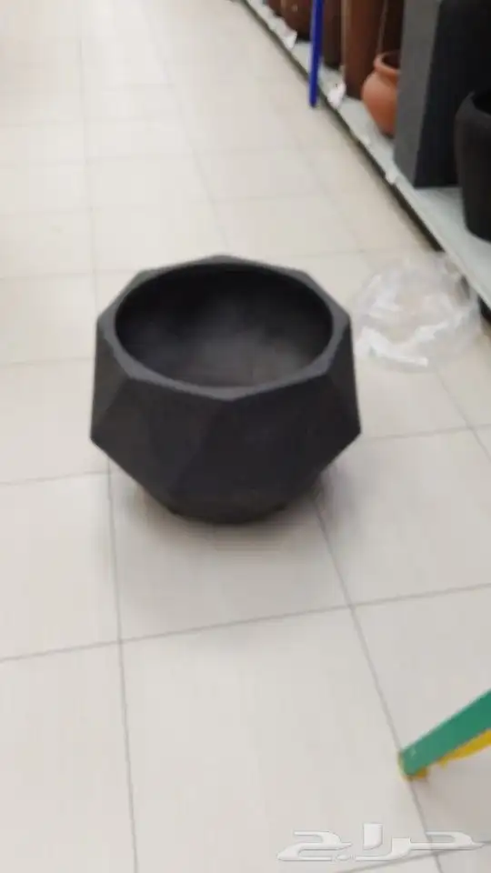نخل اشجار زينه ومثمره زيتون 9