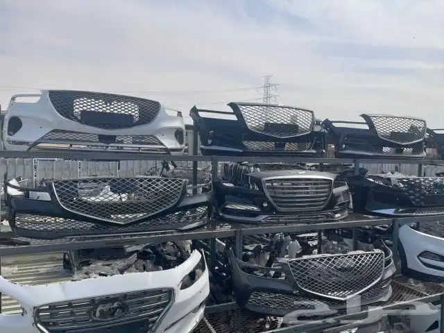 صدام جنسس gv 80- 2023 1