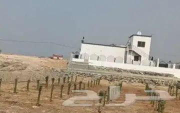 نقوم بتوريد انخيل وزرعته وتنفيذ الشبوك وتراث في أنحاء المملك 1