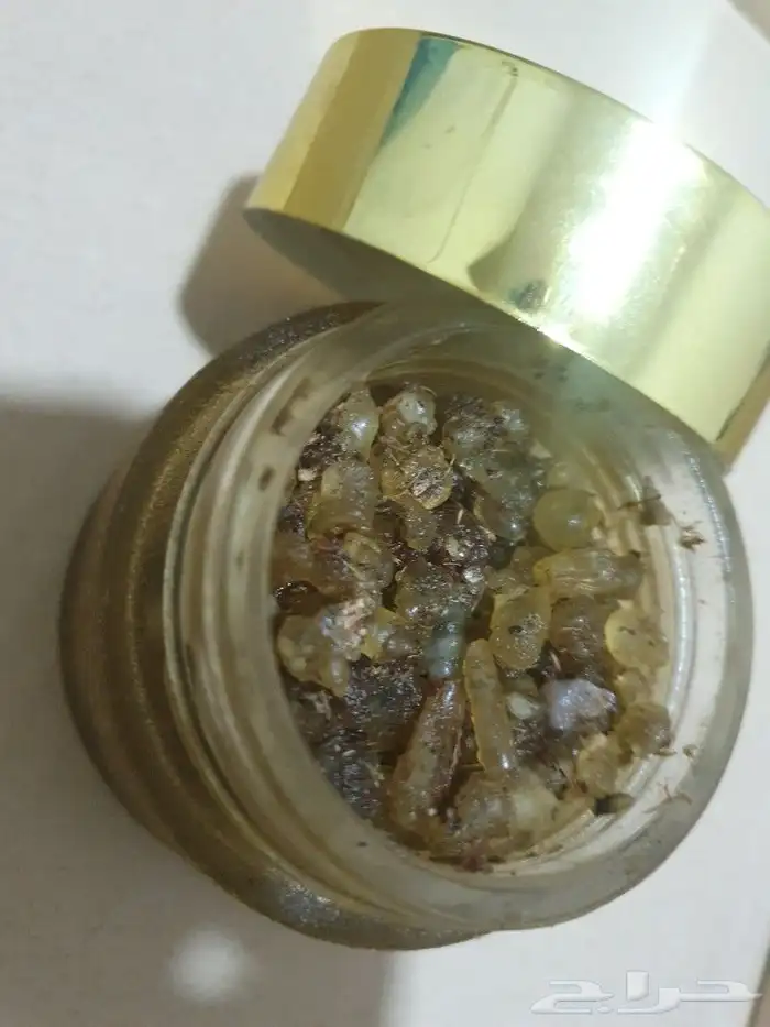اللبان الذكر الاخضر الحوجرى المسقى بالياسمين 1