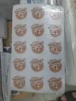ستكر دائري ( عرض خاص) 2