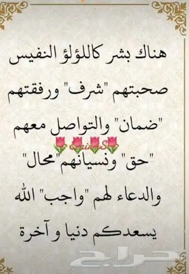 مقاول عازل مائي وحراري وابوكسي واسمنتي جده 20