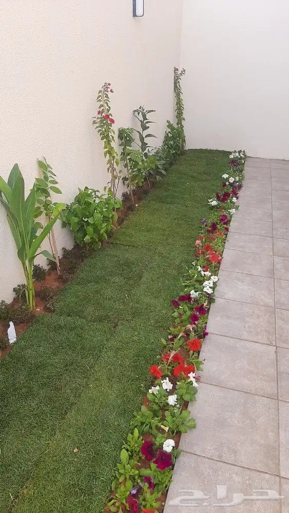 مشتل زراعى وصيانه وتنسيق حدائق 16