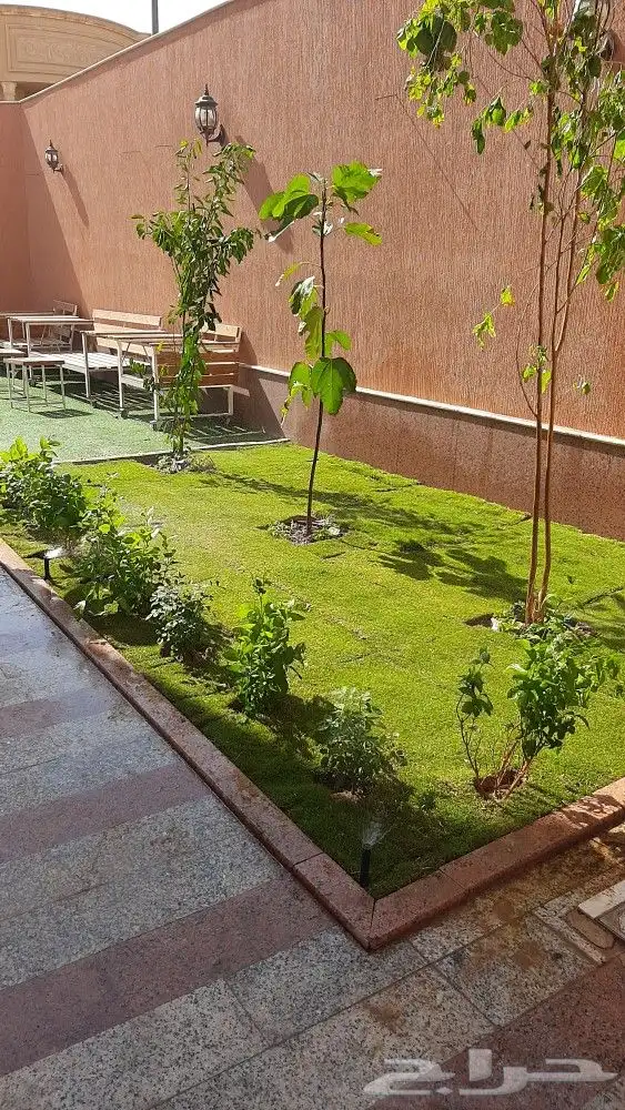 مشتل زراعى وصيانه وتنسيق حدائق 17