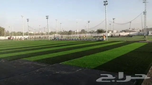 العشب الصناعي للملاعب والحدائق والارضيات المطاطية 27
