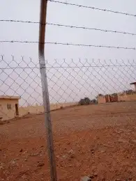 لشغل النخل تكريب وتنضيف وتوريد وتركيب جميع انواع الشبوك 8