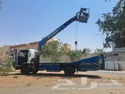 إيجار رافعات شوكيه وكرينات جميع الاحجام إيجار شهري أسبوعي يو 8