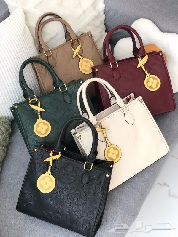 طقم شوز وشنطة لويس فيتون 7