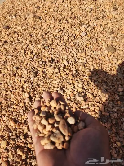 حصم و بحص و خرصان بأنواعه 26
