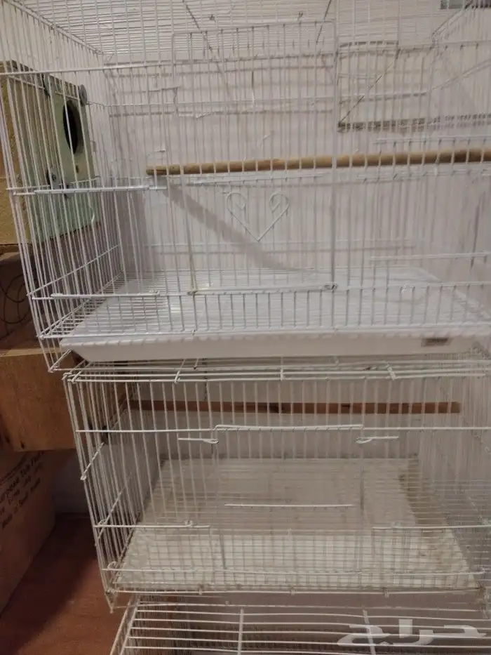 قفصين الحجم 601 0