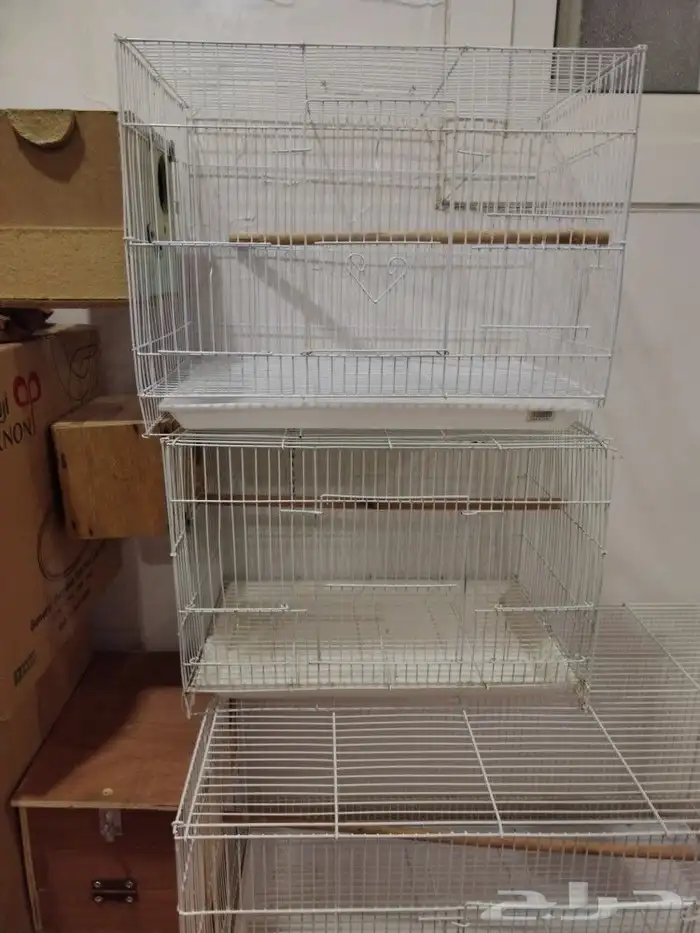 قفصين الحجم 601 1