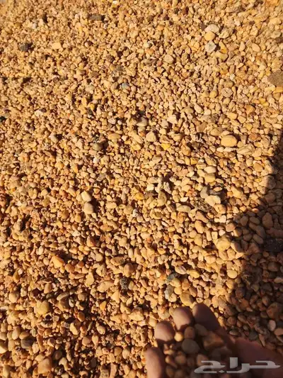 حصم و بحص و خرصان بأنواعه 25