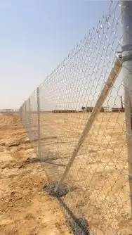 مقول شبوك ونخيل 1