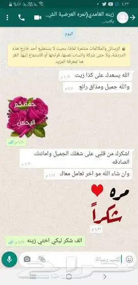 زيت زيتون فلسطيني معصور على البارد وجديد الموسم 35