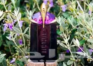 عطورات عالميه اصليه 0