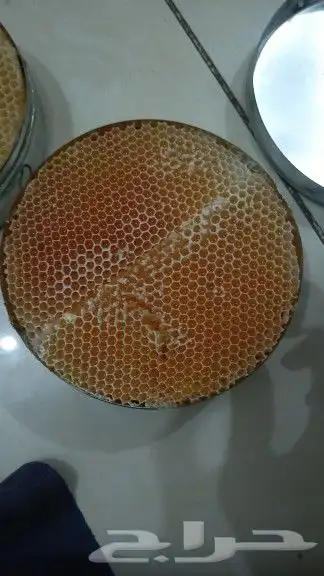 عسل سدر وادي جردان 0