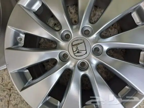 جنوط اكراد 1